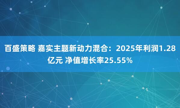 百盛策略 嘉实主题新动力混合：2025年利润1.28亿元 净值增长率25.55%